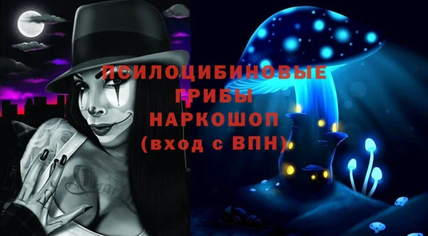 дживик Саяногорск