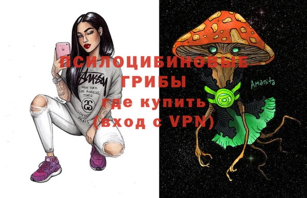 соль ск Дмитров