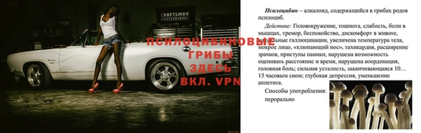 дживик Саяногорск