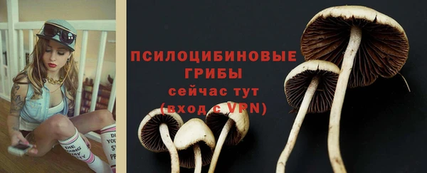 дживик Саяногорск