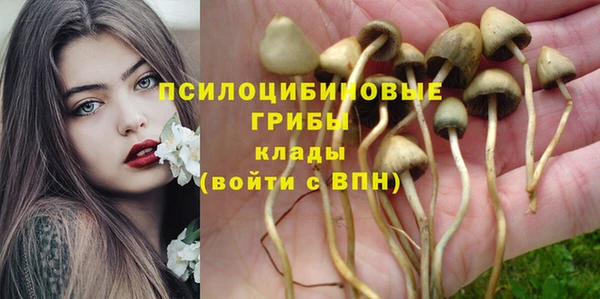 меф Ростов