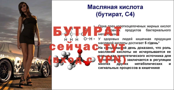 индика Дмитровск